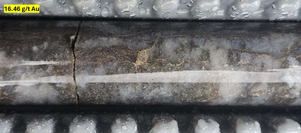 Drill-core photograph from hole 26DDH-BB-003 at about 47 m depth showing strong silicification with disseminated pyrrhotite and pyrite within the altered host rock.