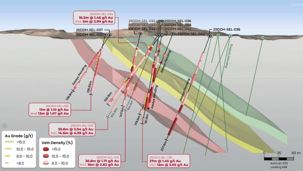 Figure 1. Section of Jons Trend drilling, the zone was intersected with hole 25DDH-SEL-032 through 25DDH-SEL-038. Further drilling in and around this zone focuses on determining its extent.