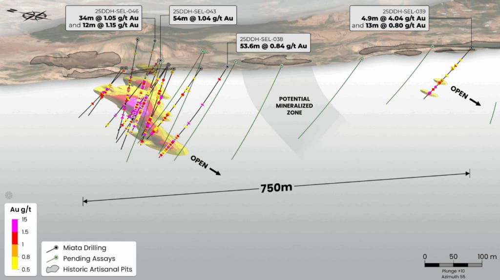 Oblique view of drilling in Jons Trend with an implicit grade model, showing that mineralization is open in all directions.