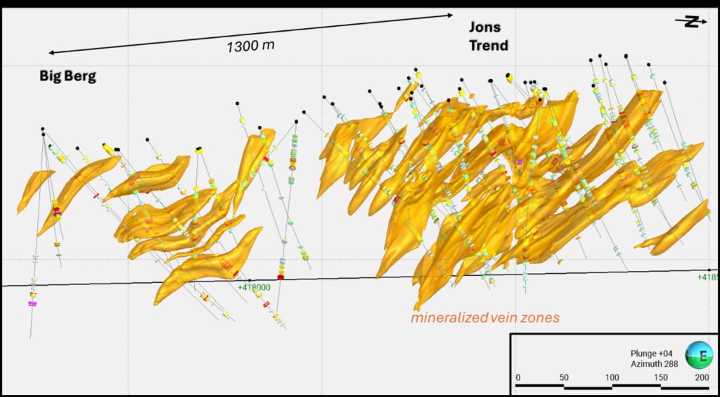 3D view of modeled vein zones for Big Berg and Jons Trend, looking from the Big Berg zone back to Jons Trend, azimuth 288.