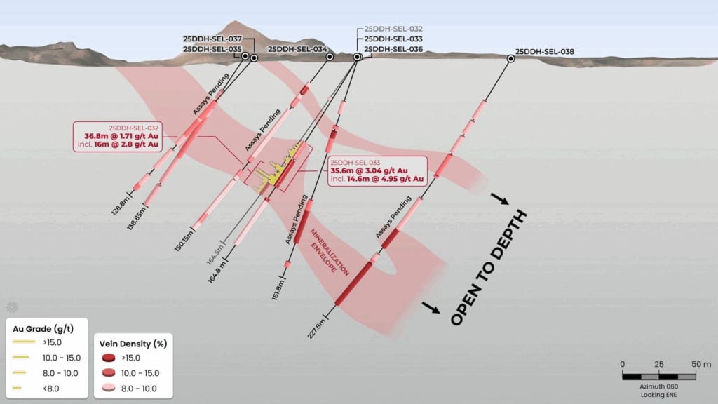 Cross section of Miata's drilling into Jons Trend, showing two stacked lenses plunging shallowly to the southeast.